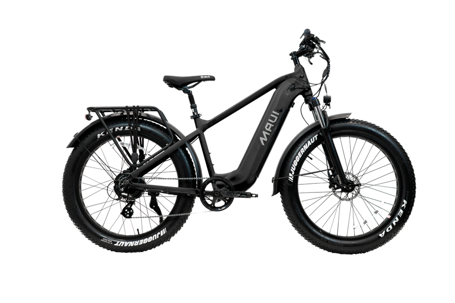 Fat Hera Electric City Bike Step-Thru