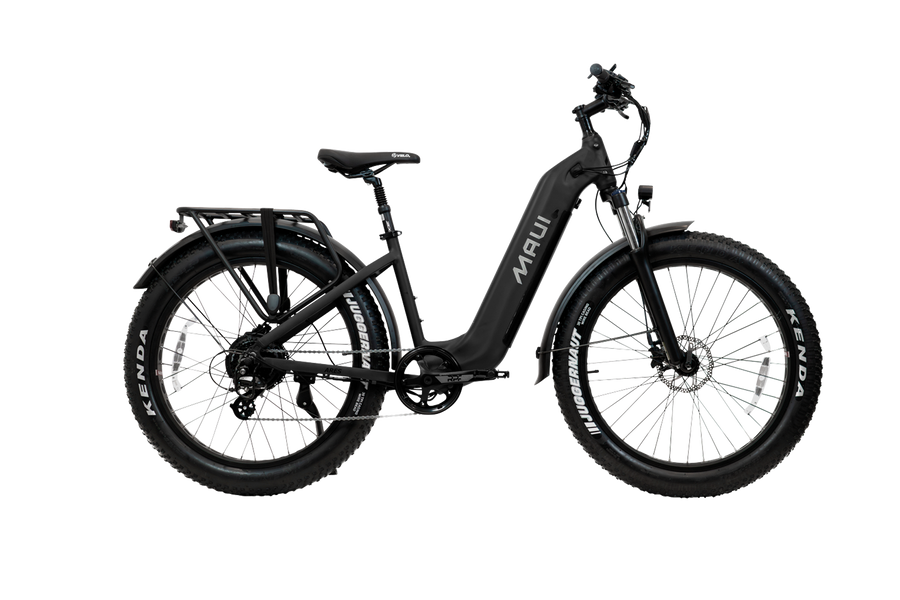Fat Bronte Electric City Bike Step-Thru